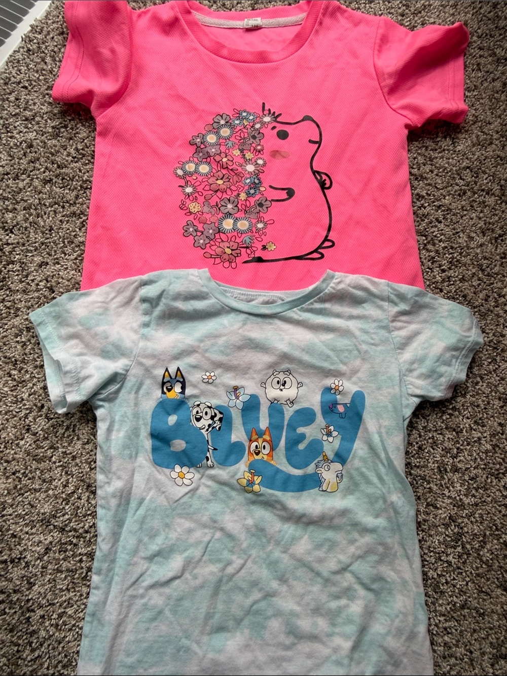 2 - Girls' Pink Floral Hedgehog Tee & Light Blue 'Bluey' Graphic Tee - size 7